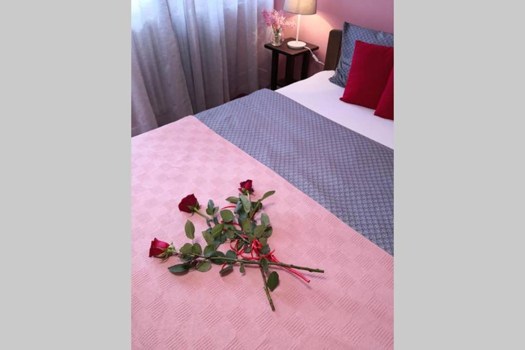 Studio Prim Belgrad Zewnętrze zdjęcie